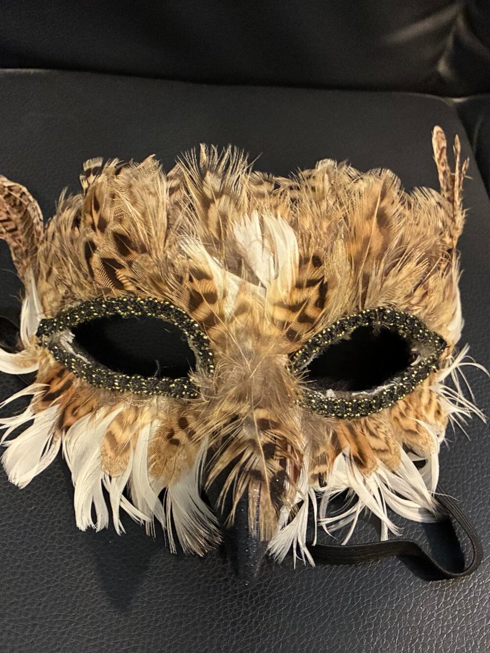 Halloween Is Coming🔥 Feathered Halloween Duo — Mask + Wings Set! 🔥